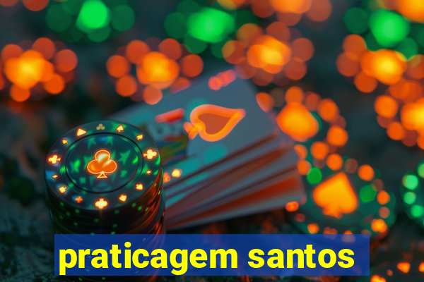 praticagem santos